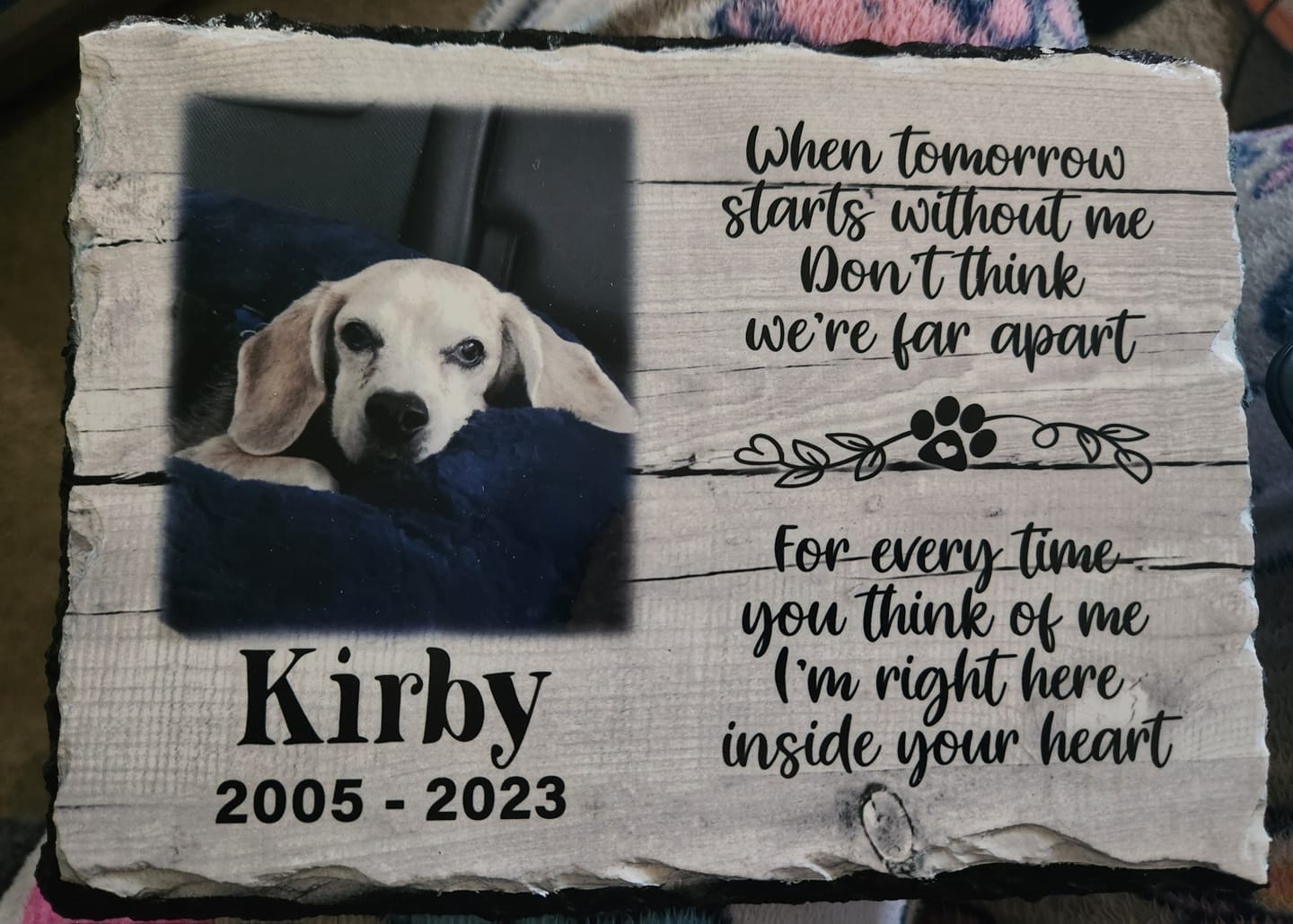 Customer photo review of Personalized Dog Memorial   When Tomorrow Starts without me  Personalized Picture Keepsake