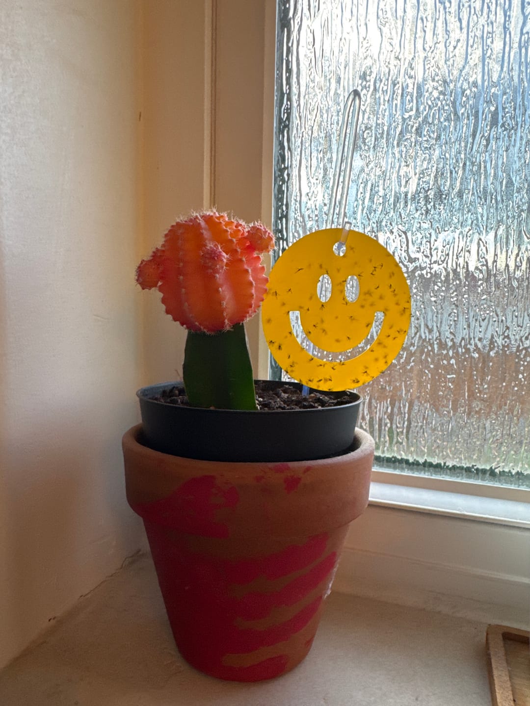 Customer photo review of Killer Smiles
