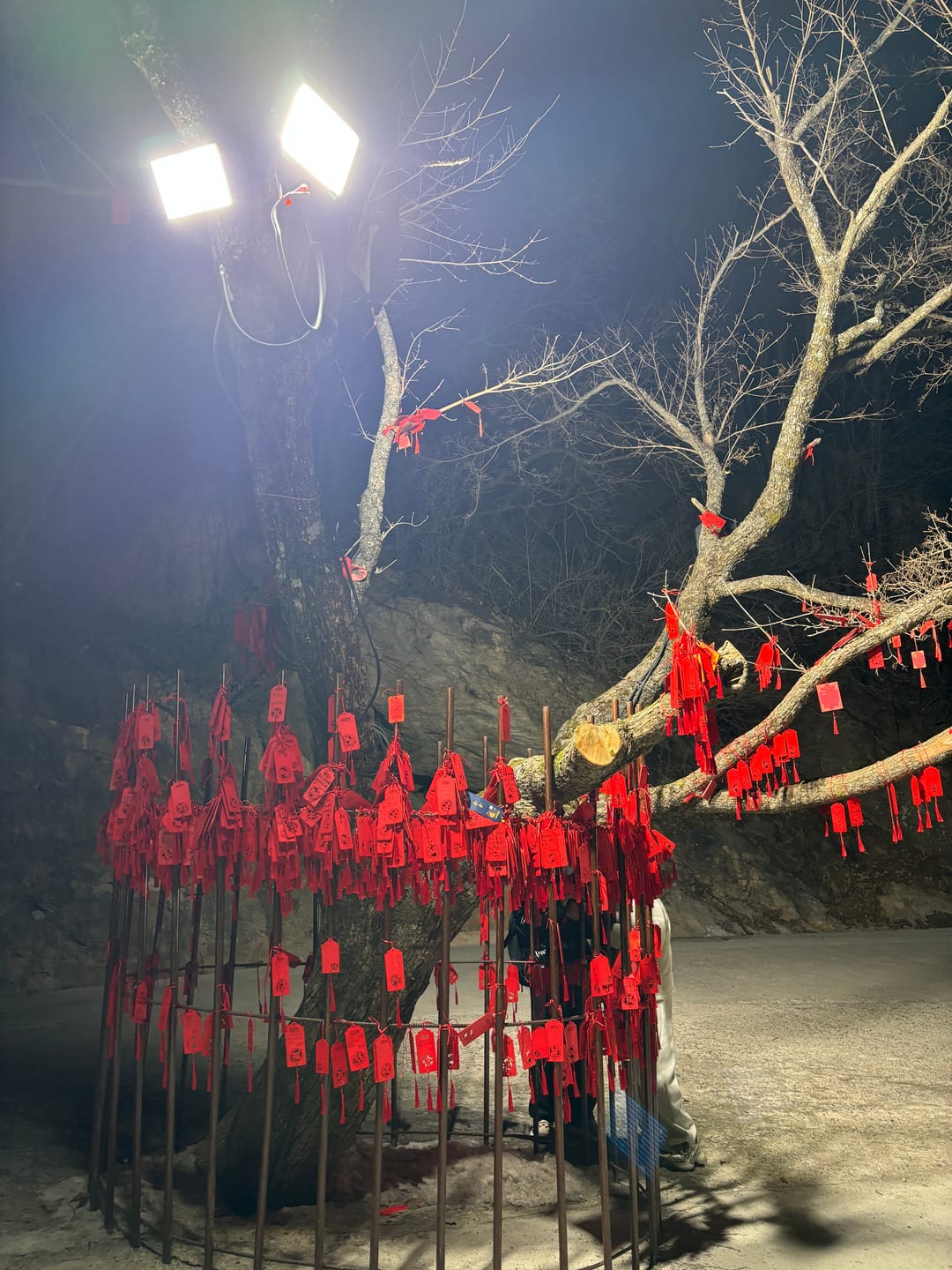Customer photo review of LonghuTao Sacred Lao Tzu Mountain Summit Blessing — Anchor Your Wishes at the Peak