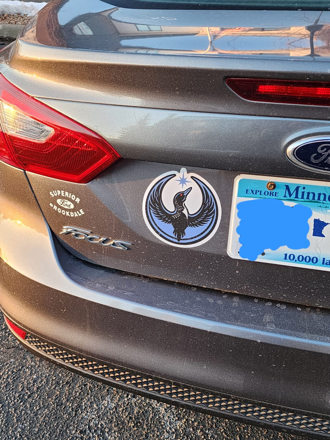 Customer photo review of Large Rebel Loon Vehicle Decal Sticker