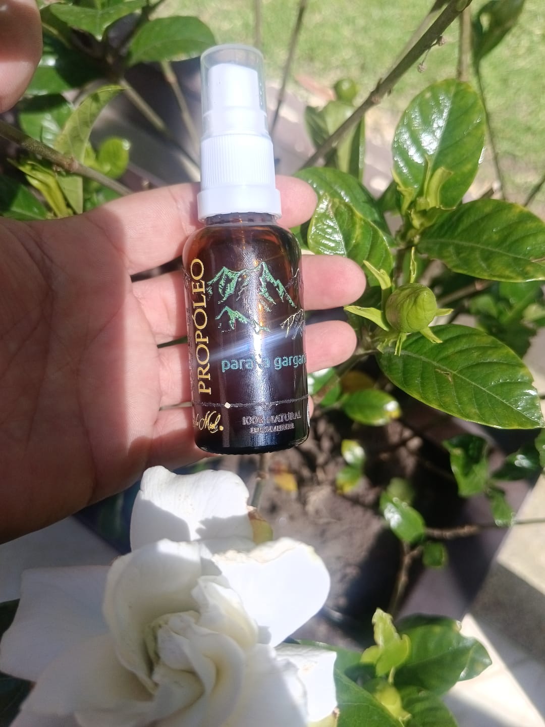 Customer photo review of Spray de Propóleo