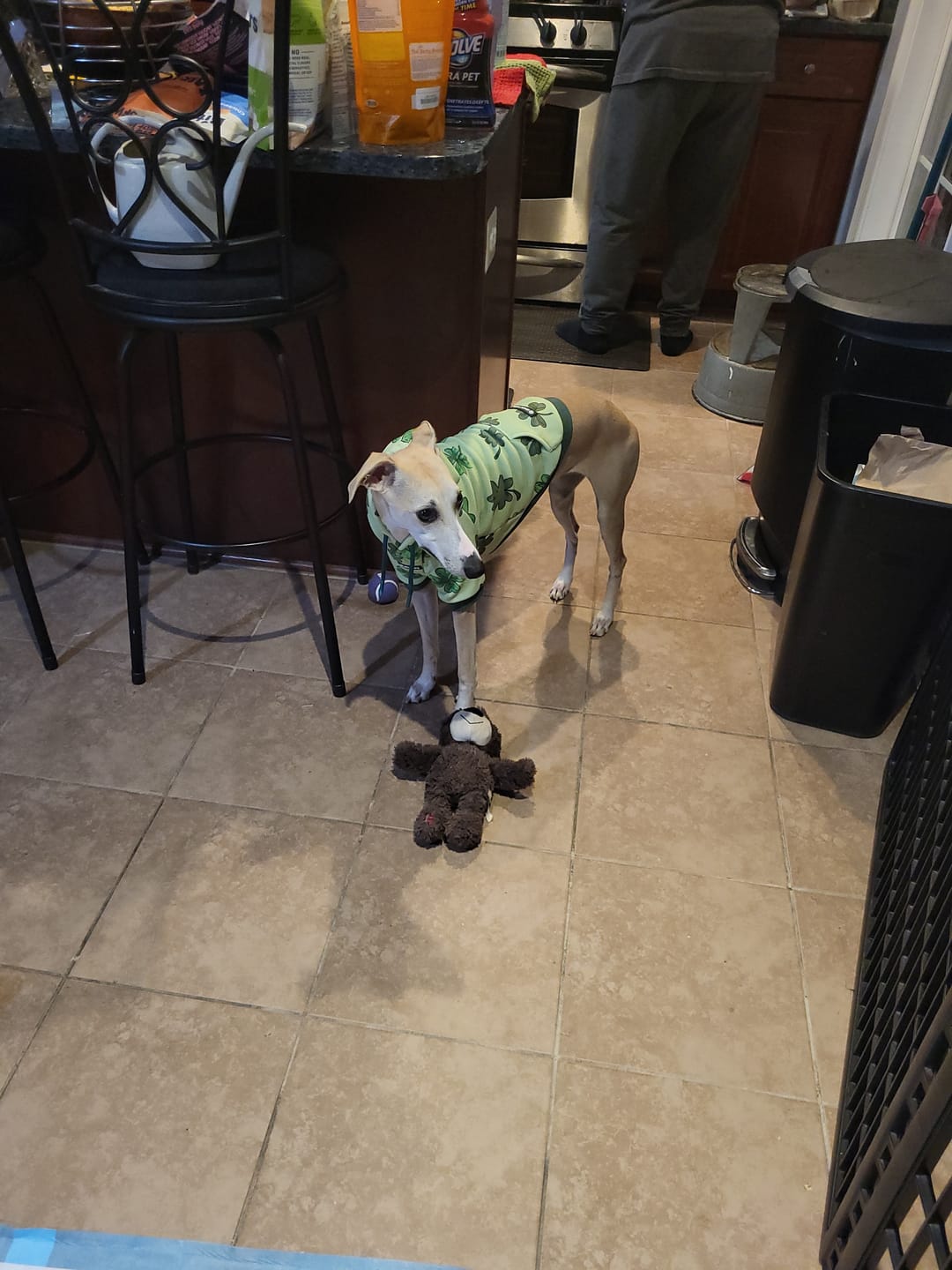 Customer photo review of St. Paddy's Human Hoodies (Limited Edition)