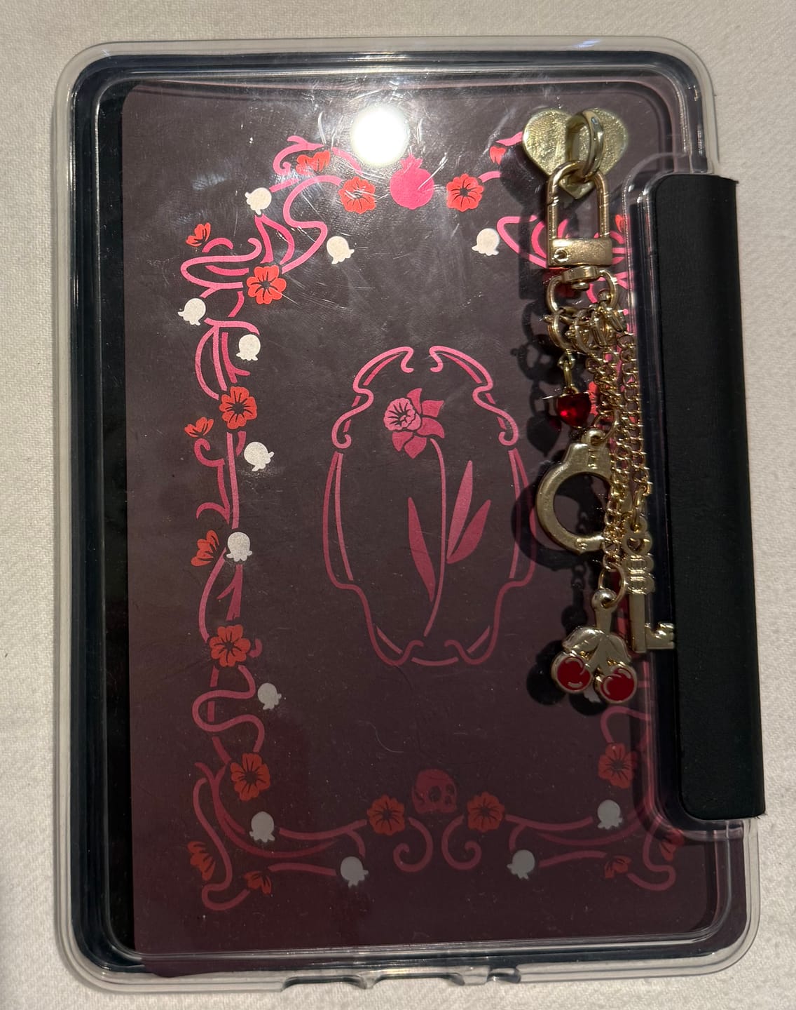 Customer photo review of Persephone eReader Sticker Insert
