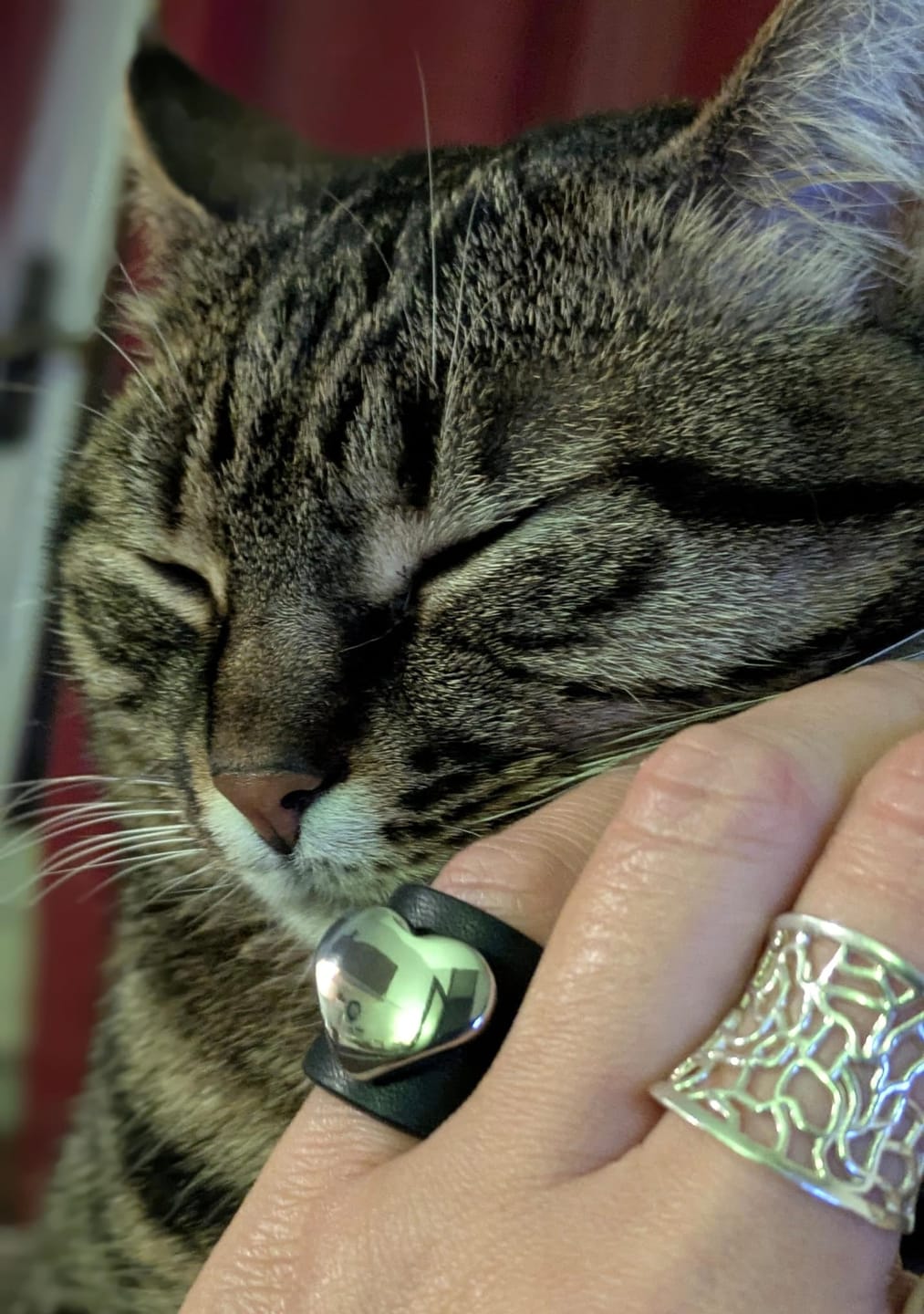 Customer photo review of Anello Pelle Cuore Mio Tulsi