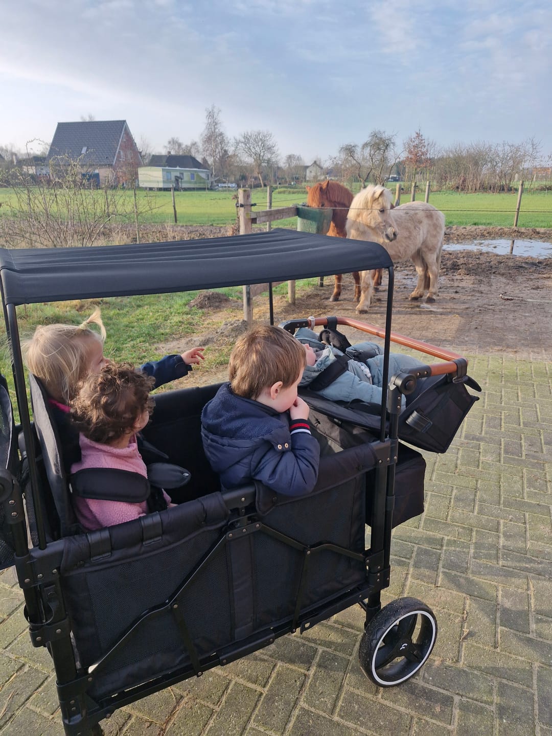 Customer photo review of P-Series Luxe 4-zits kinderkar