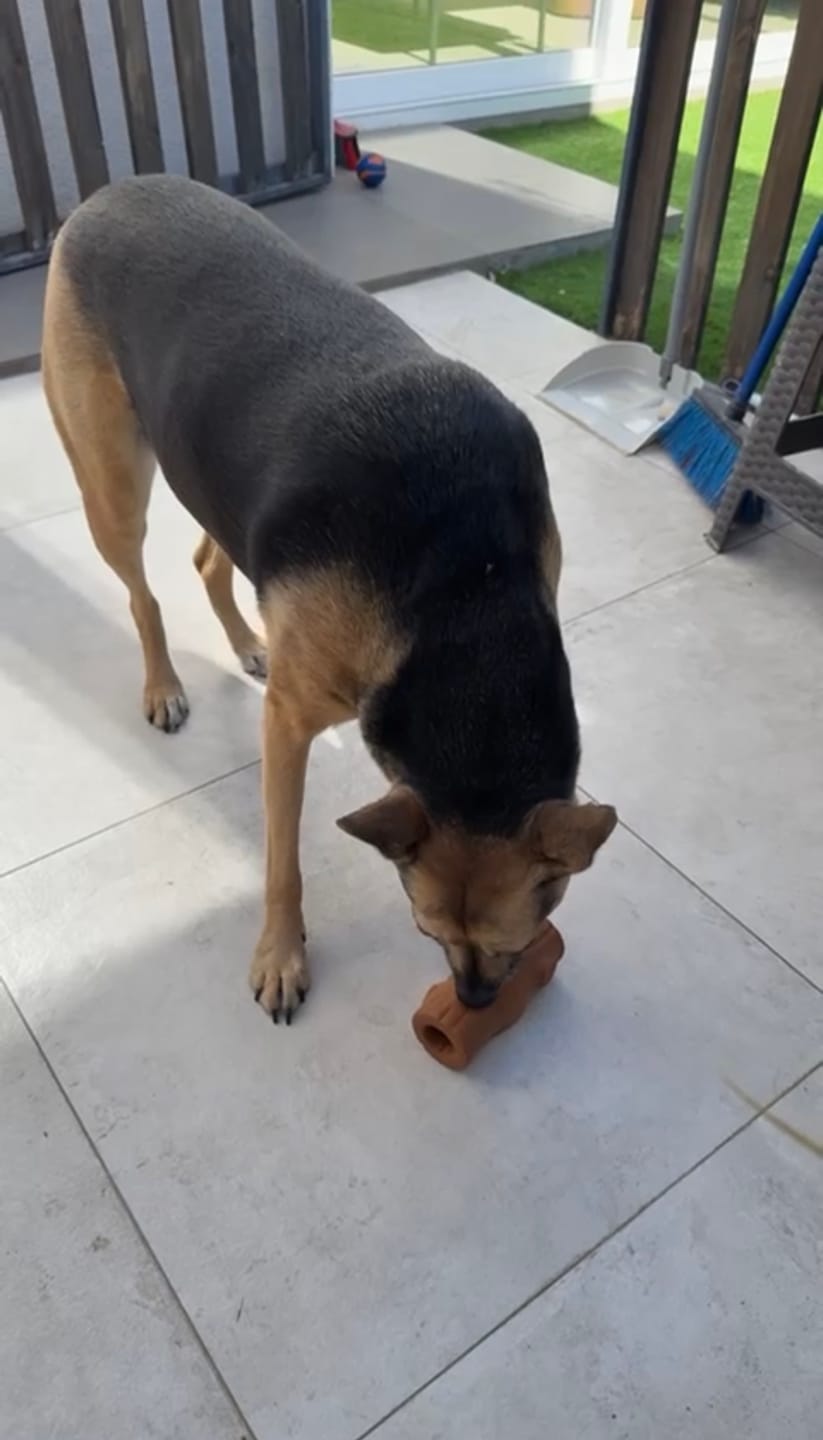 Customer photo review of Tronco Mágico — Calma con snacks congelados