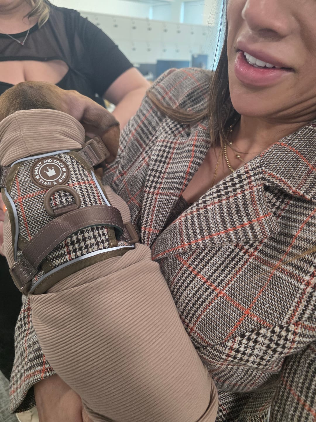 Customer photo review of Trail & Glow Tweed Dog Harness - Colour Drops - Heritage Plaid