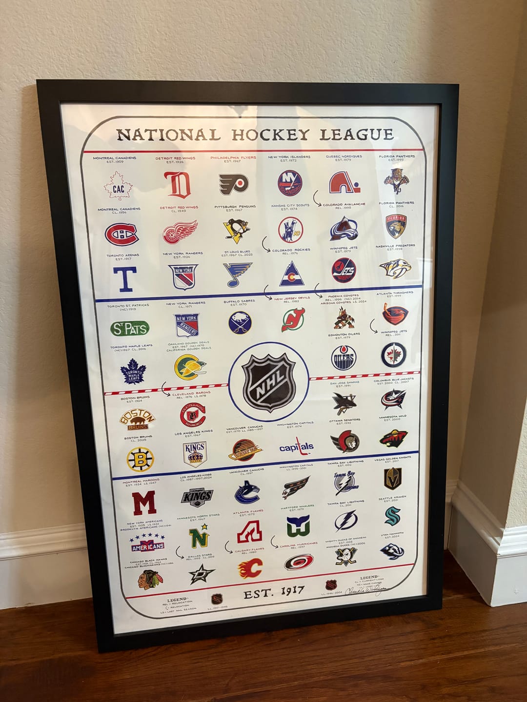 Customer photo review of The Evolution of the NHL (2025 Edition)