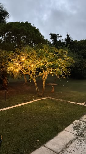 Customer photo review of Solar Bubble Ball Fairy Lights