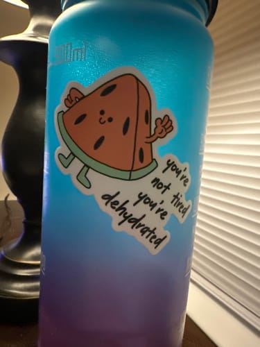 Reviewer's sassy watermelon sticker on a water bottle, reading 'you're not tired you're dehydrated'.