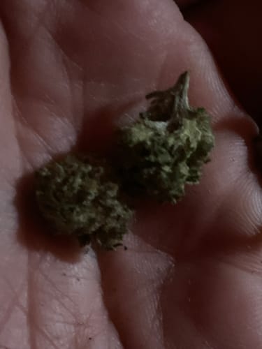 Customer photo review of Space Queen (smalls)