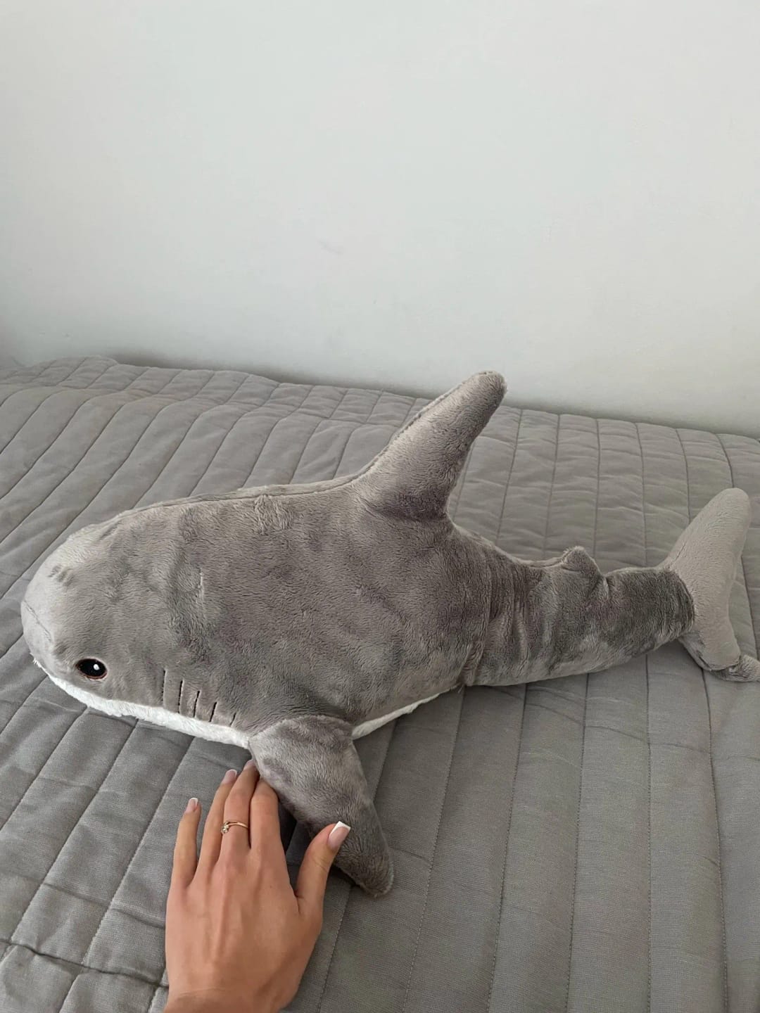 Customer photo review of Peluche Requin Douce – Coussin Animal pour Enfant