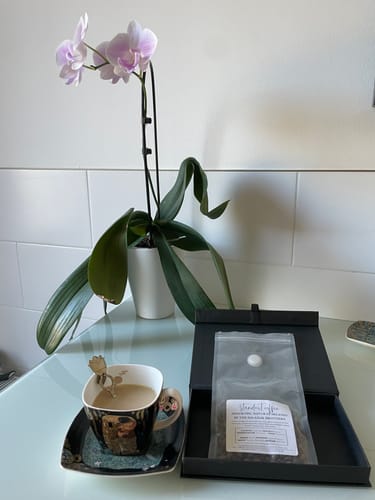 Customer photo review of Wilson Ortega Washed Pink Bourbon, Huila Colombia