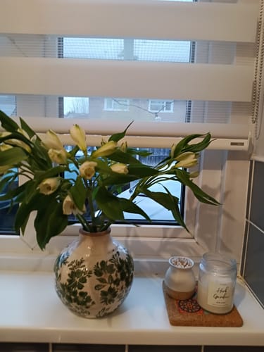 Customer photo review of "Herb Garden" Basil & Sage Garden Candle