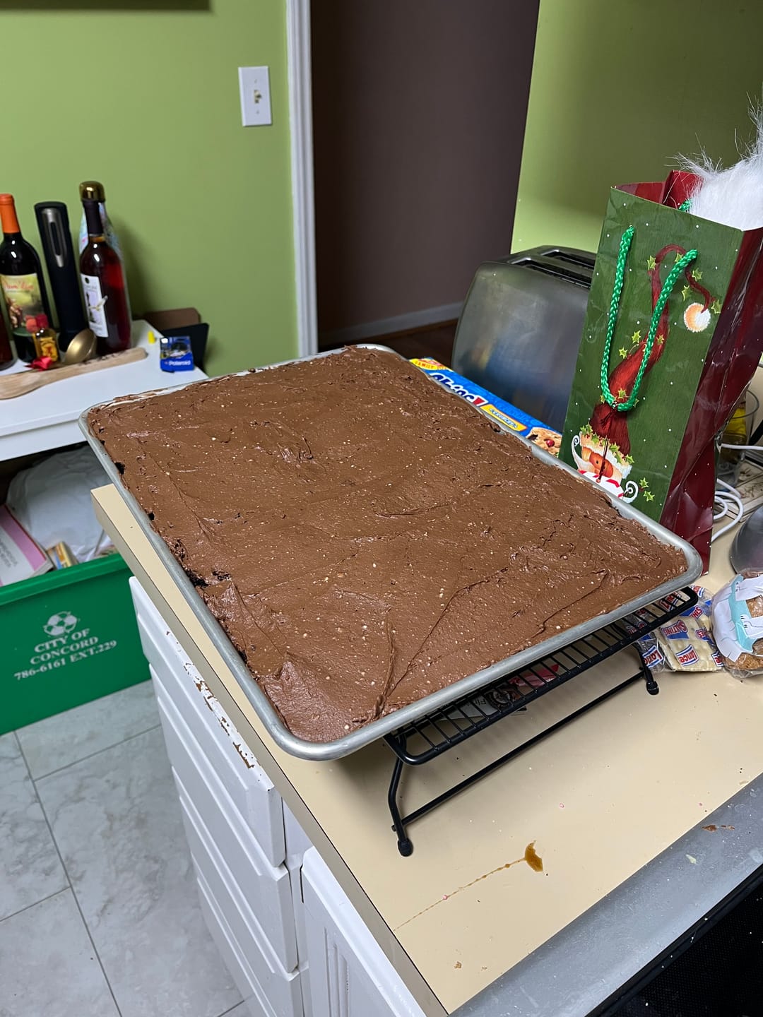 Customer photo review of Live 118 Year Old Valrhona CHOCOLATE Sourdough Starter Includes Maintenance PDF & Chocolate Noir Loaf Recipe