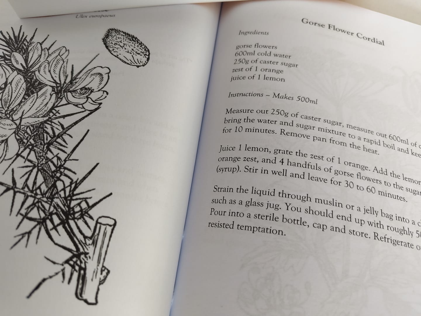 Customer photo review of The Eatweeds Cookbook