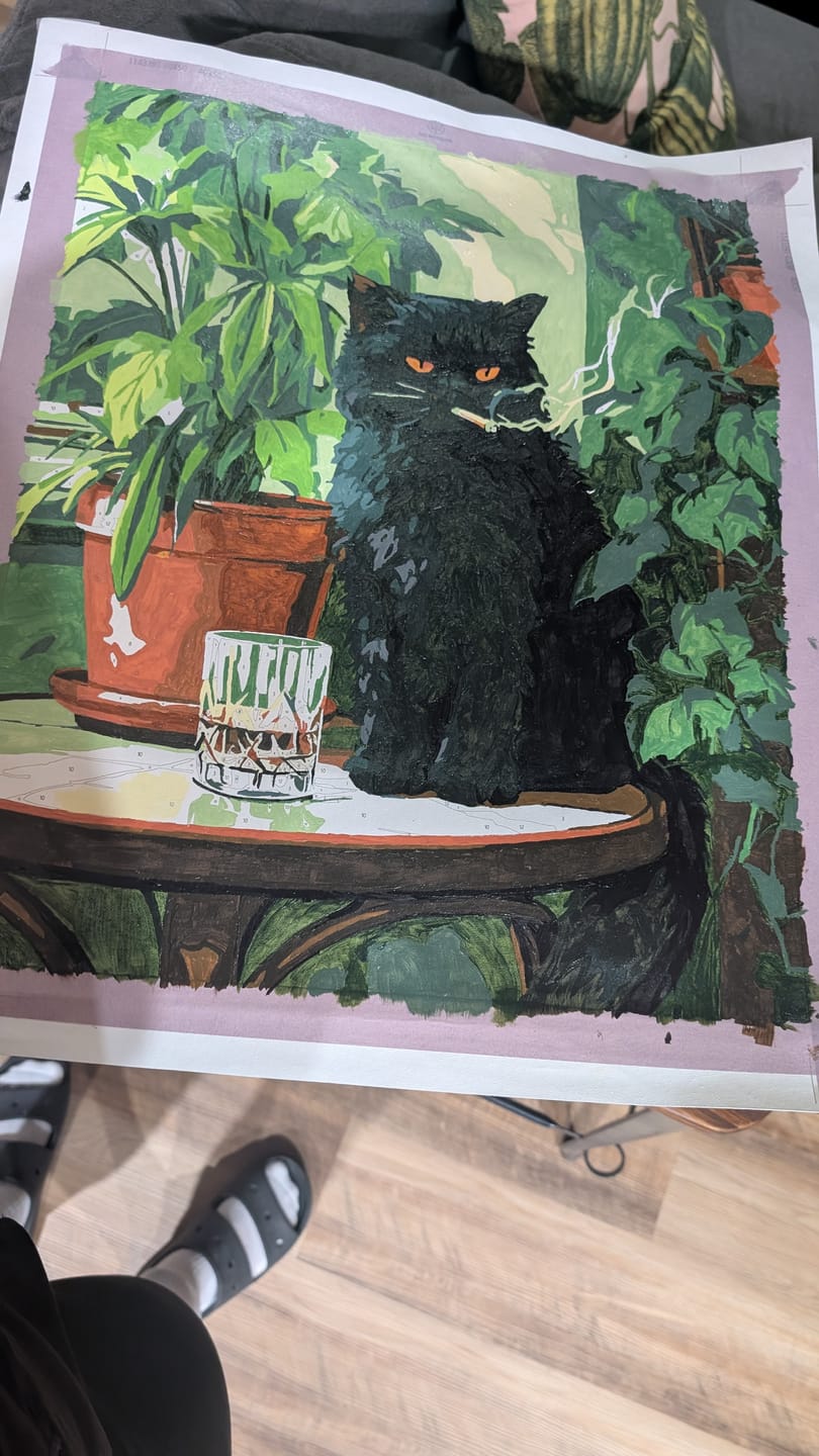 Customer photo review of Grumpy cat | Paint by Number