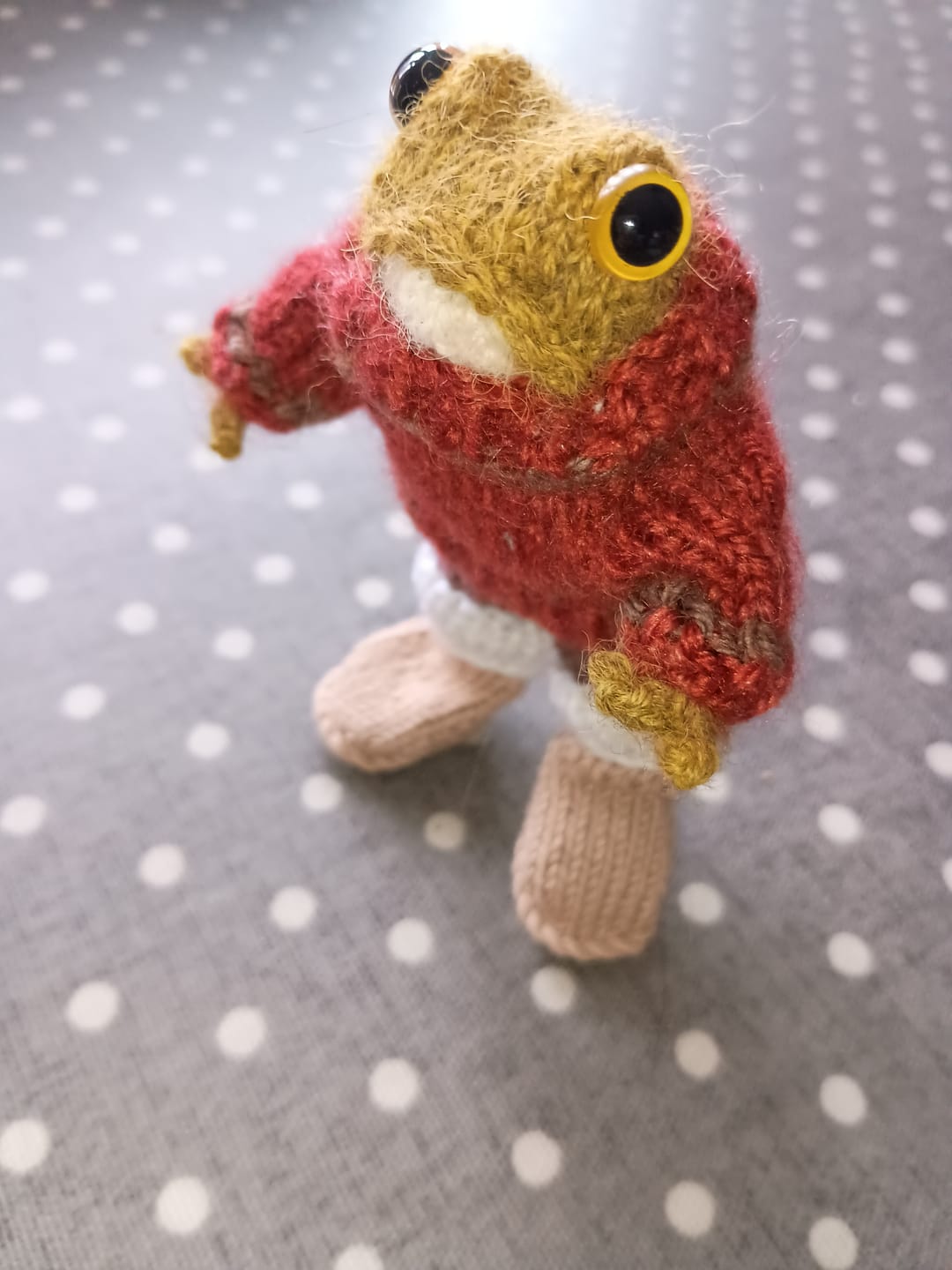 Customer photo review of DROPS Alpaca