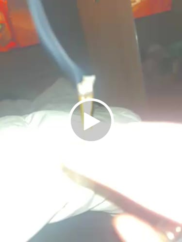 Customer video review of Blue Zushi 30% THCA