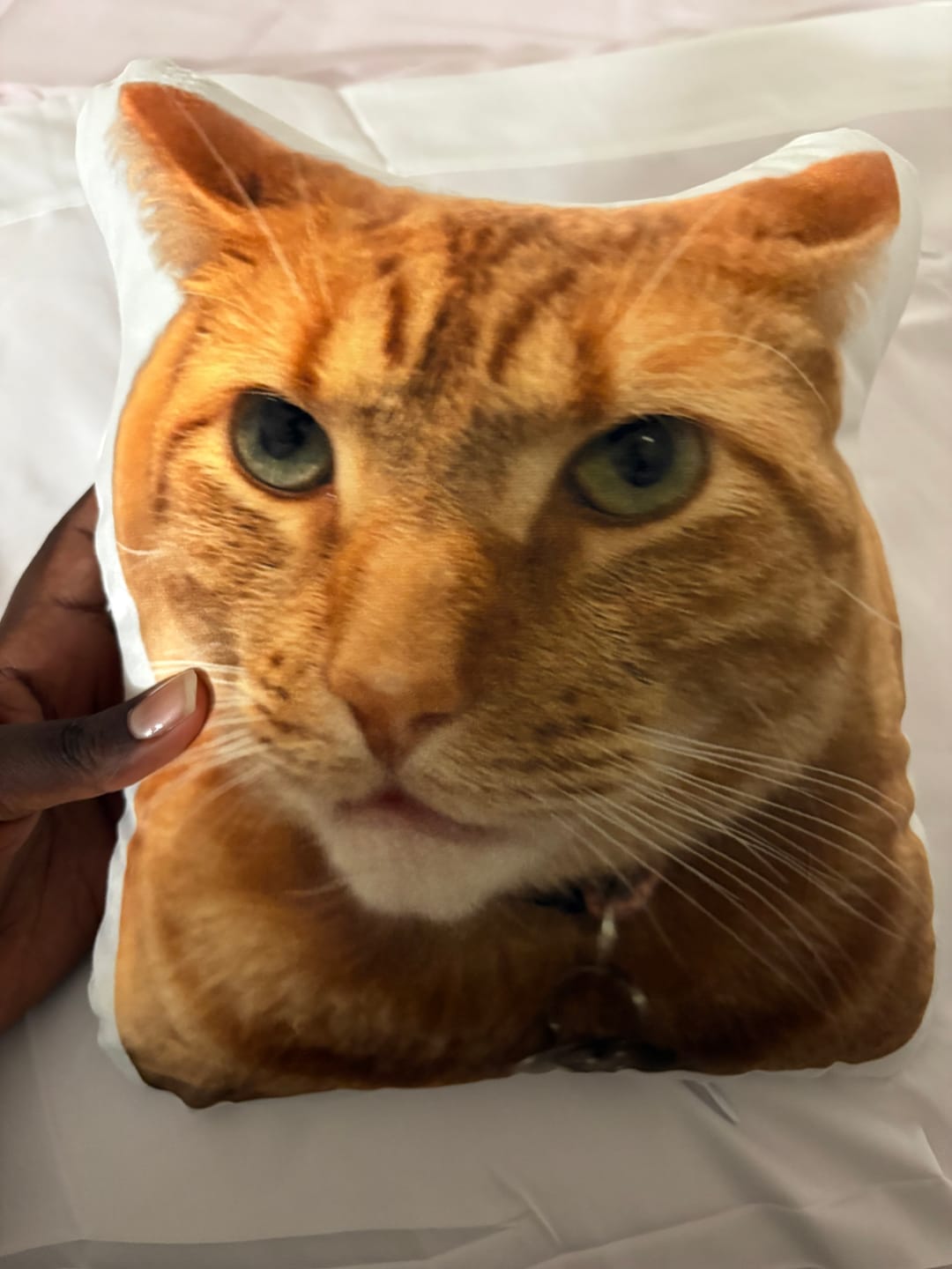Customer photo review of Pet Pillow Looks Like Your Pet, Customize Dog Shaped Pillow with Pet Photo - ThePetPillow