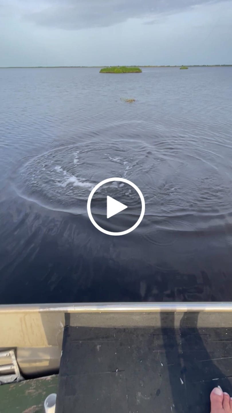 Customer video review of Bulk Braid Spools 2000 Yards - All Colors