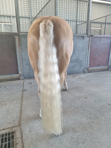 Customer photo review of LE Travel Tail Wrap