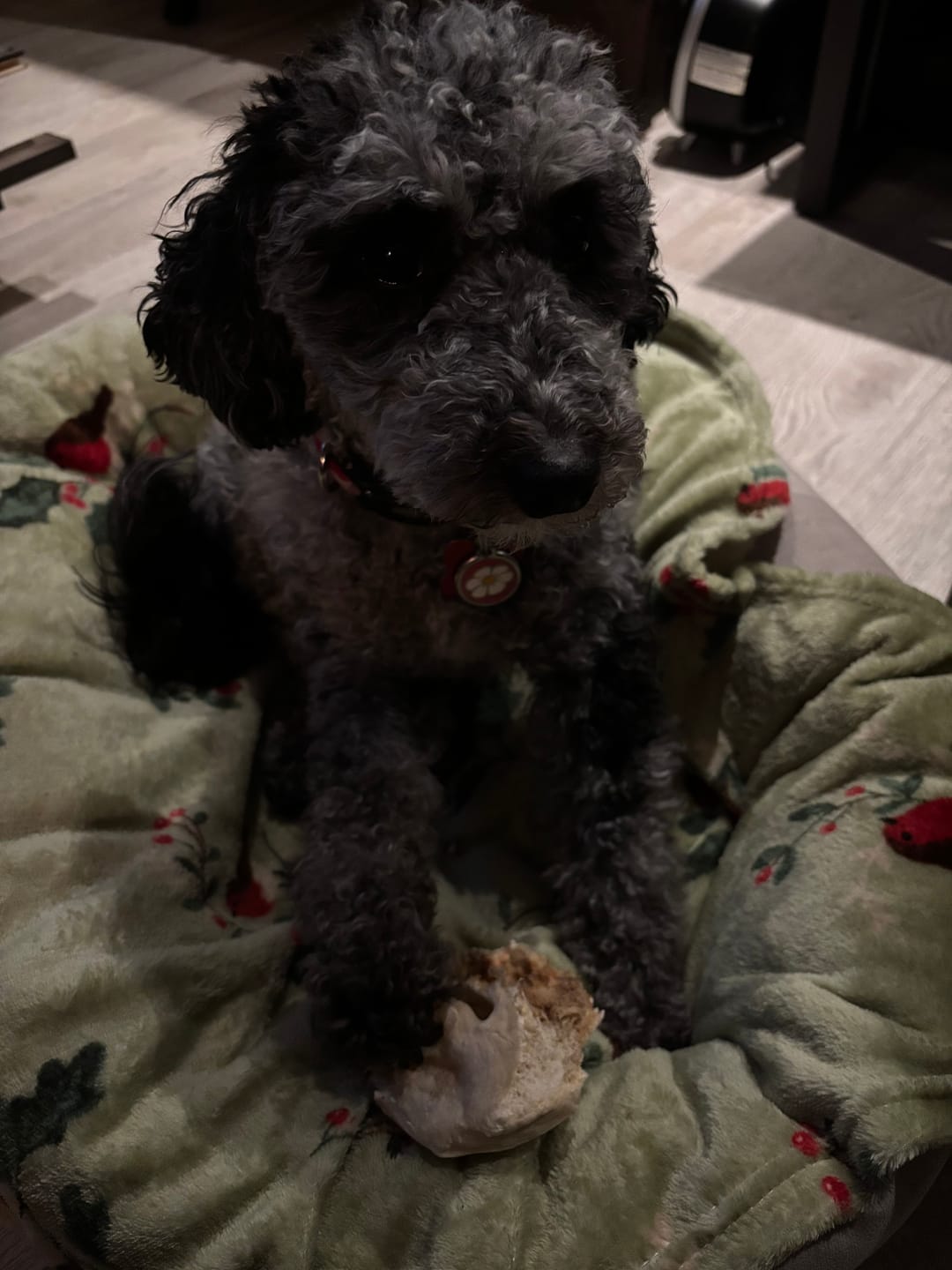 Customer photo review of Vrac Nature's Own - Museau de Boeuf pour chien