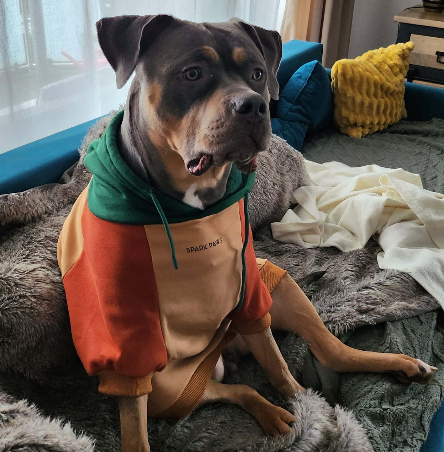 Customer photo review of Ranger Dog Hoodie