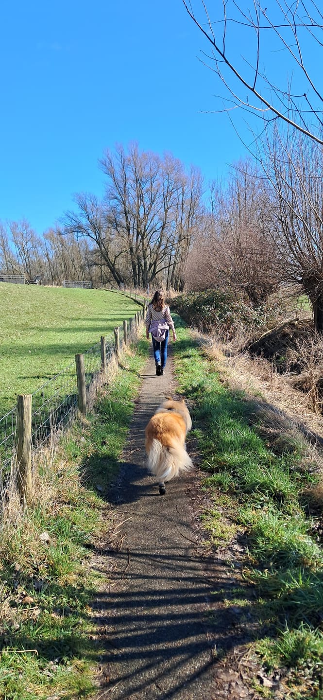 Customer photo review of Feetz® Blue One