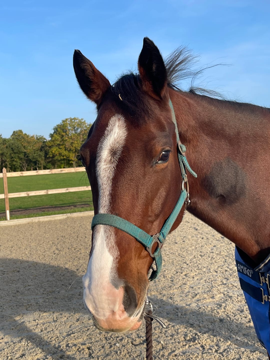 Customer photo review of Kristallkraft Femmina