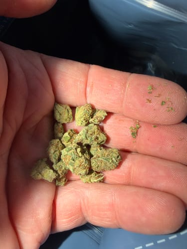 Customer photo review of Space Queen (smalls)