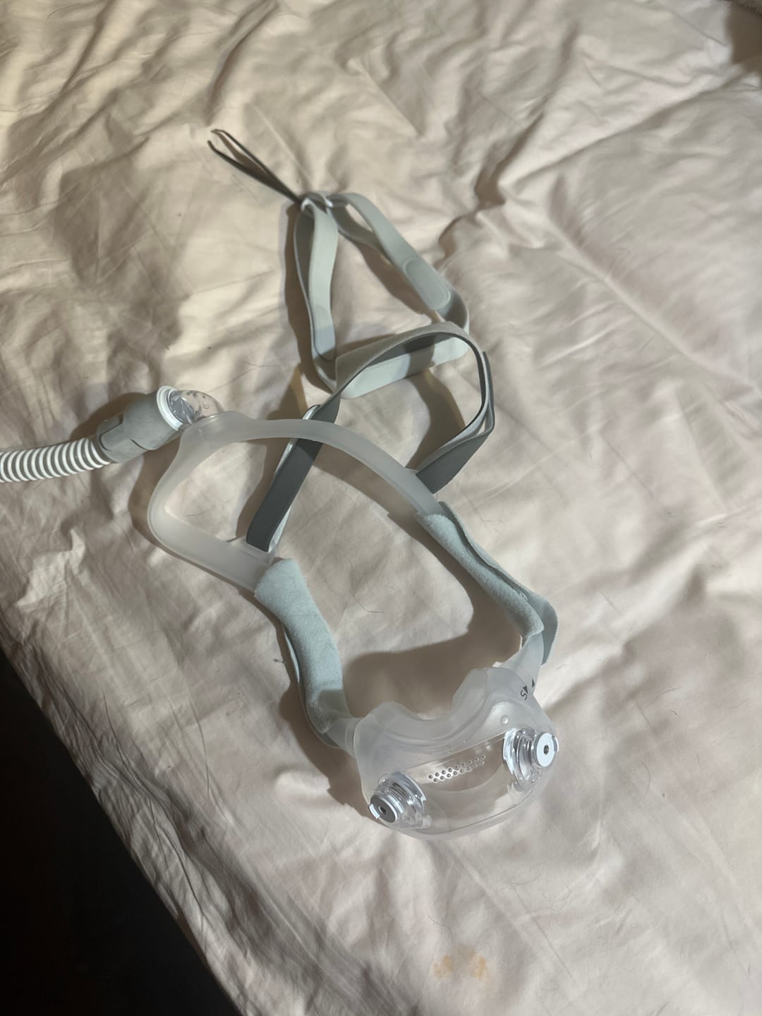 Customer photo review of Philips Respironics DreamWear Full Face Mask with Headgear, FitPack