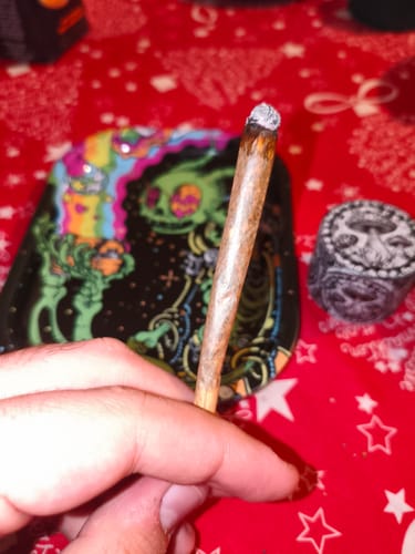 Reviewer's hand holding a lit joint of Miracle Alien Cookies THCA Flower, ready to be smoked.