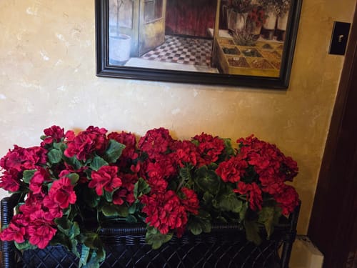Customer photo review of Bulk 16.5 inches Tall Geranium Bush Faux Flowers UV Resistant for Outdoors and Indoors Wholesale