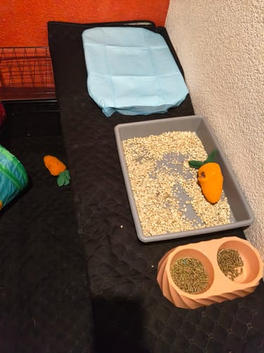 Customer photo review of CT0232 1 Paquete Con 10 Piezas De Tapete Entrenador