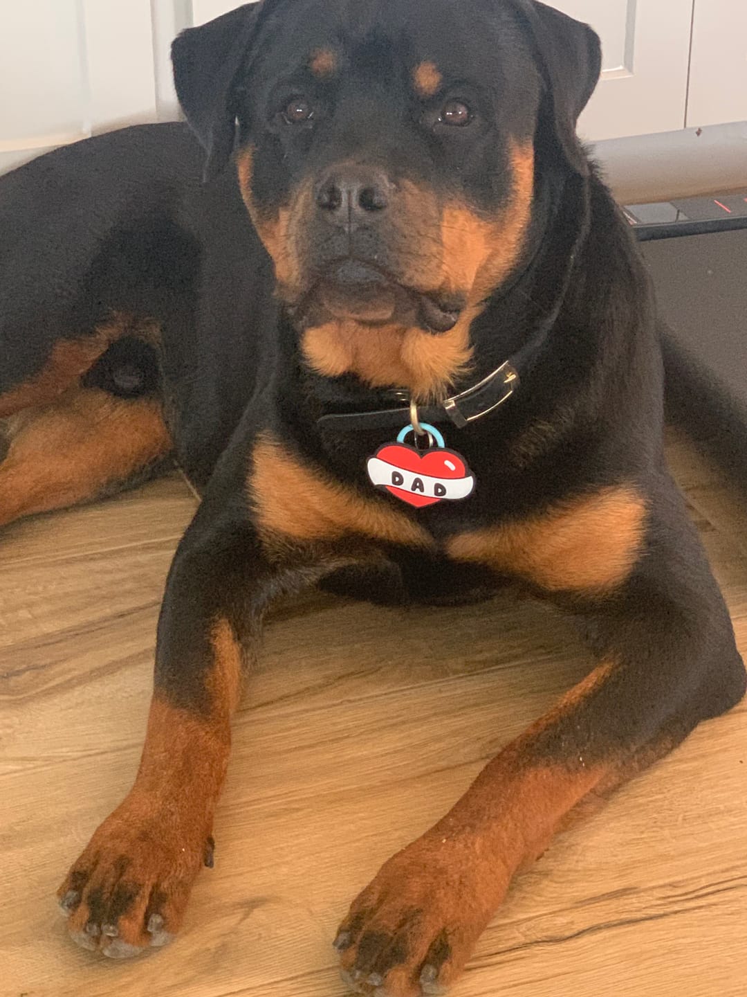 Customer photo review of Dad Tattoo Jiby Dog Charm