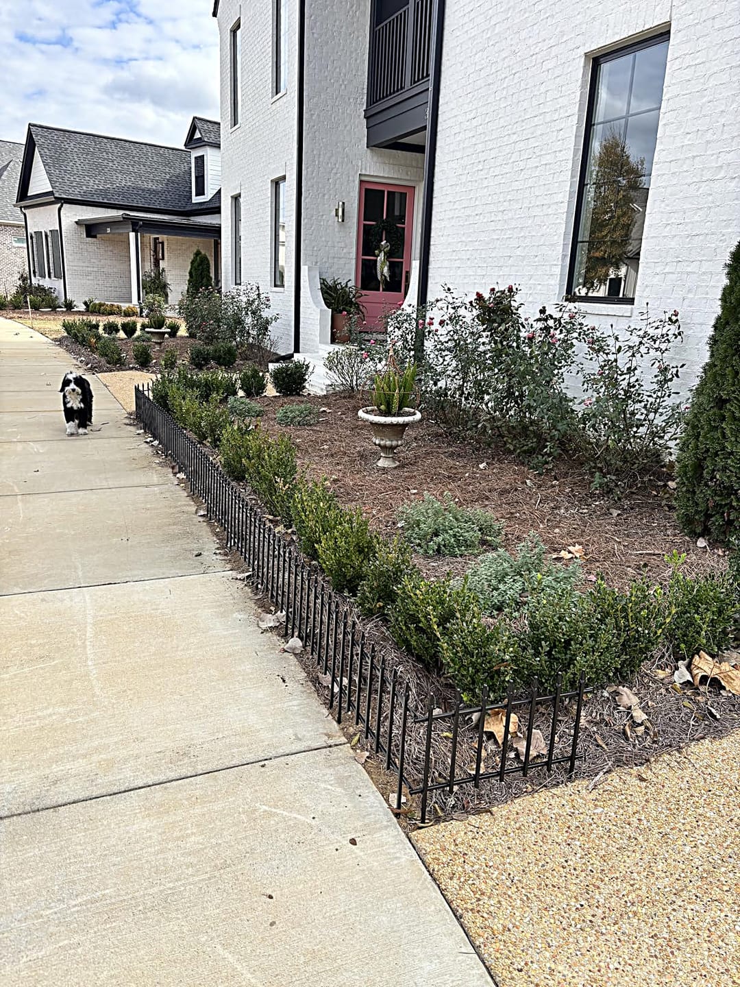Customer photo review of Metal Garden Fence 60×60cm, 5 Panels (3m), No-Dig Dog & Flower Bed Fence