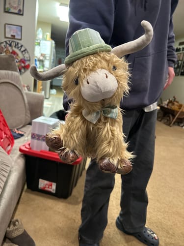 A reviewer holding the St. Patrick's Day Highland Cow tabletop sitter, showing its green hat and bow.