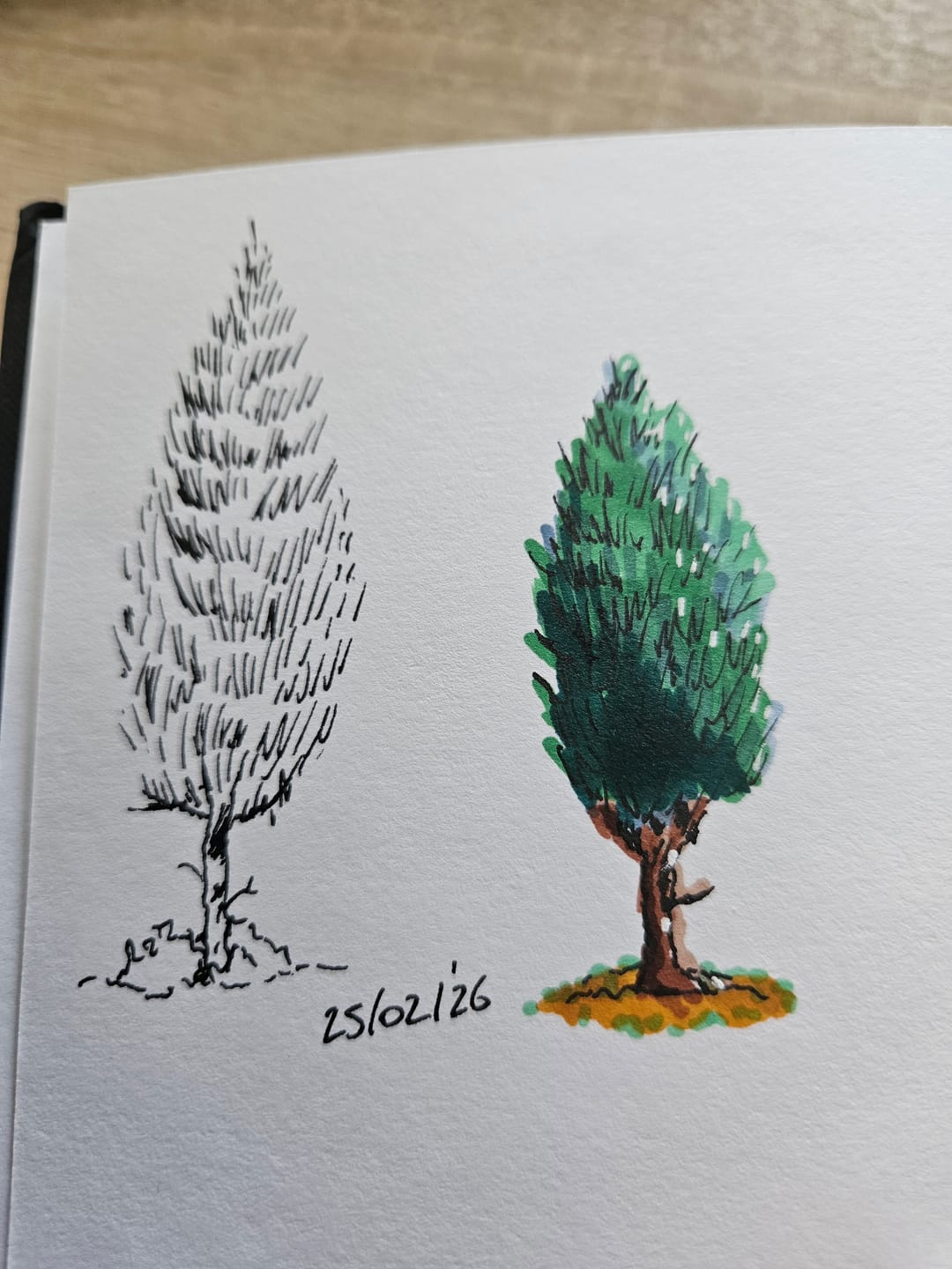 Customer photo review of Ohuhu Spiral-Bound Marker Pad for Alcohol Markers