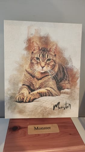 Reviewer's watercolor-style personalized pet portrait of their tabby cat, Monster, displayed above a wooden box with a nameplate.