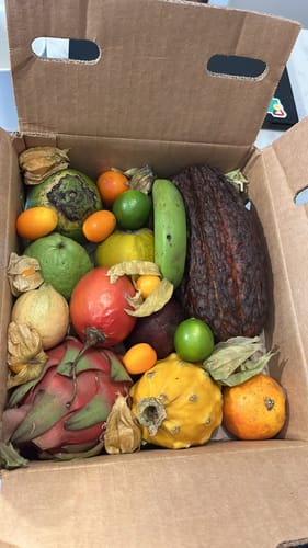 Reviewer's open Variety Box showing a colorful mix of tropical fruits like dragon fruit and cacao.