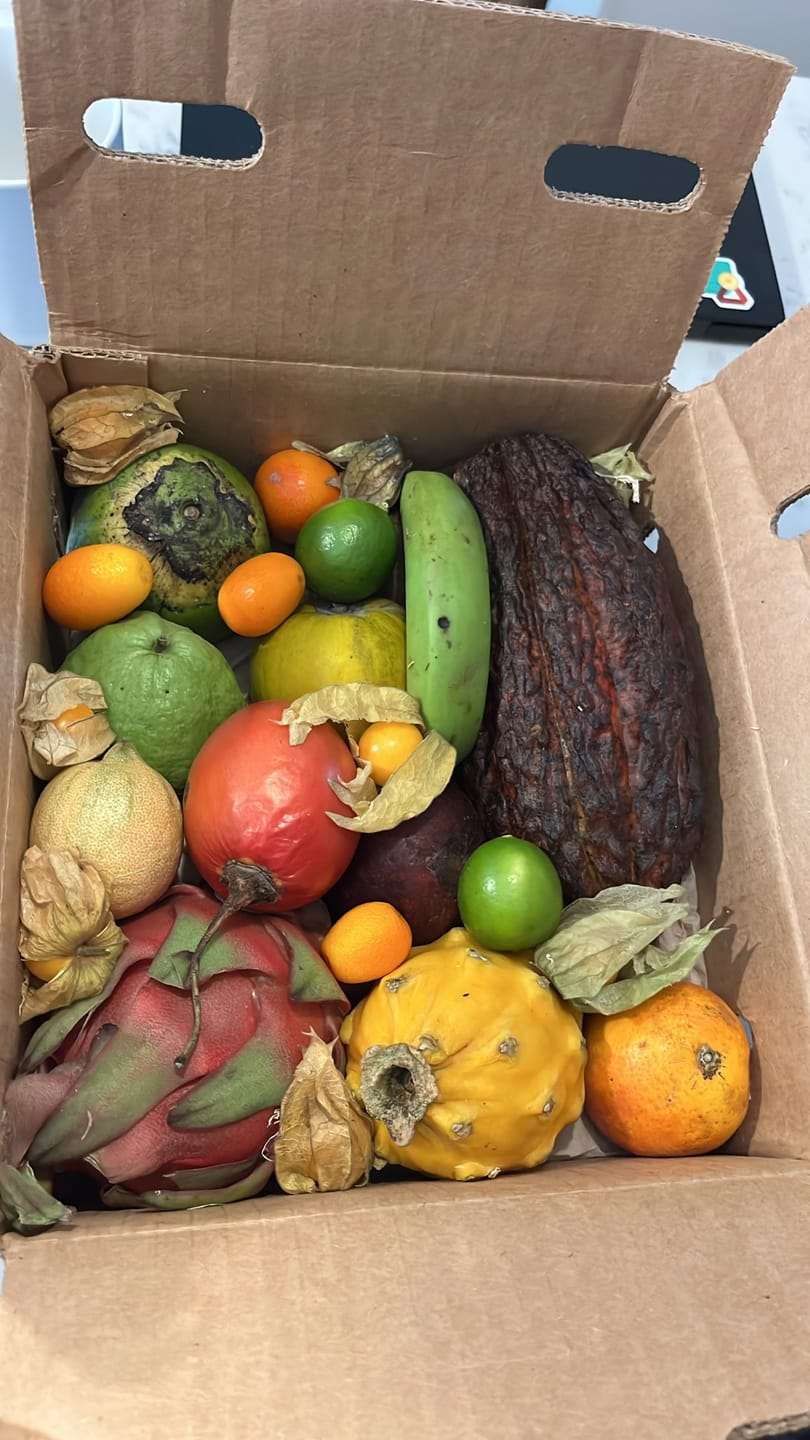 Customer photo review of Variety Box