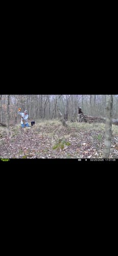Customer photo review of Antler IV Mineral Attractant