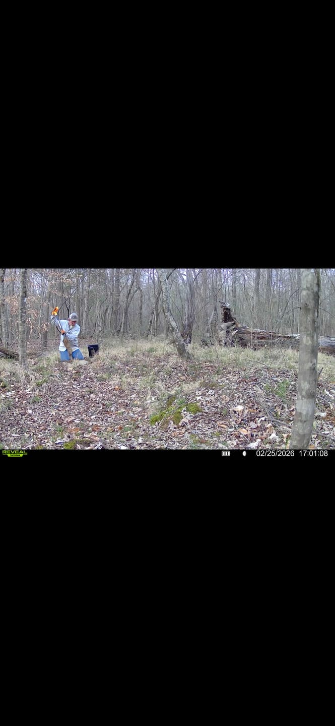 Customer photo review of Antler IV Mineral Attractant