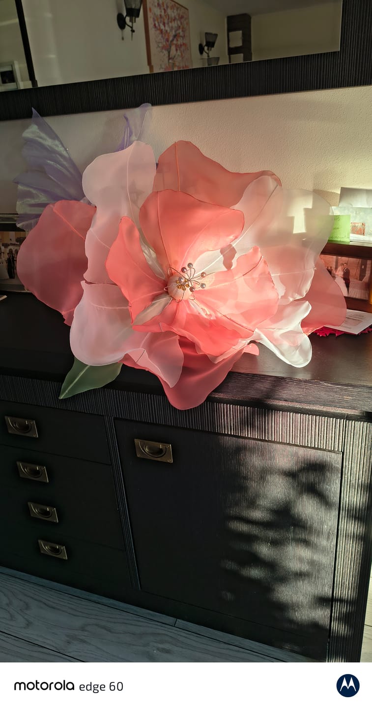 Customer photo review of Organza Sidefata Ivory - 3 m Latime