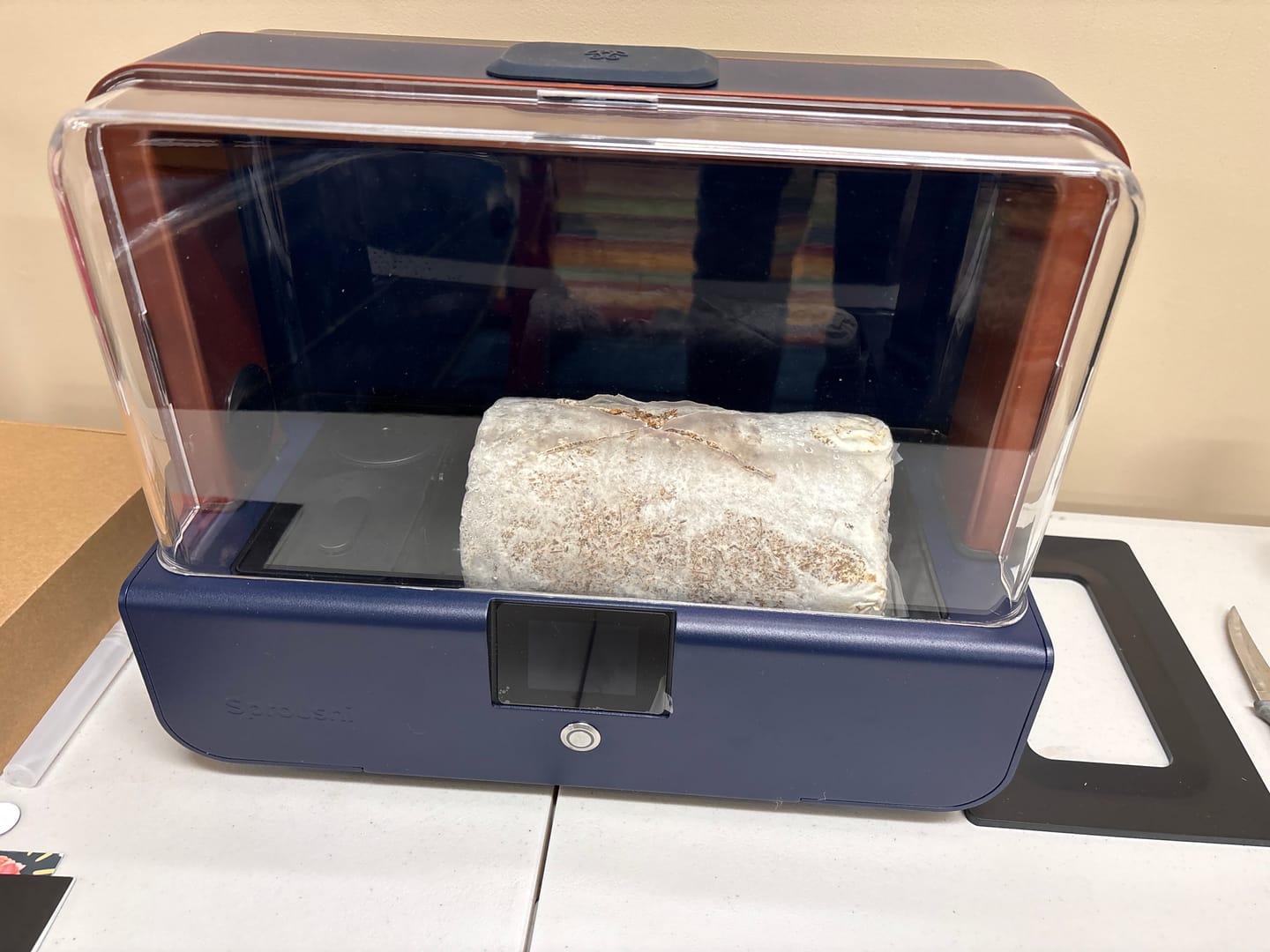 Customer photo review of Sproushi Midnight Blue
