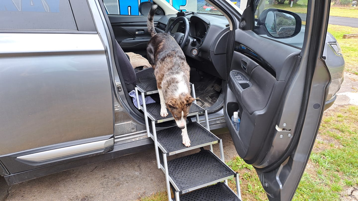 Customer photo review of Foldable Aluminum Pet Steps