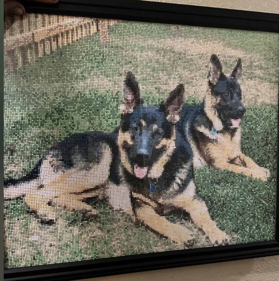 Customer photo review of Worlds Best Customized Diamond Painting Kit
