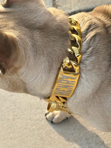 Customer photo review of ENGRAVED ID LINK XL - 1.25 Inch Custom Dog Collar Accessory Premium