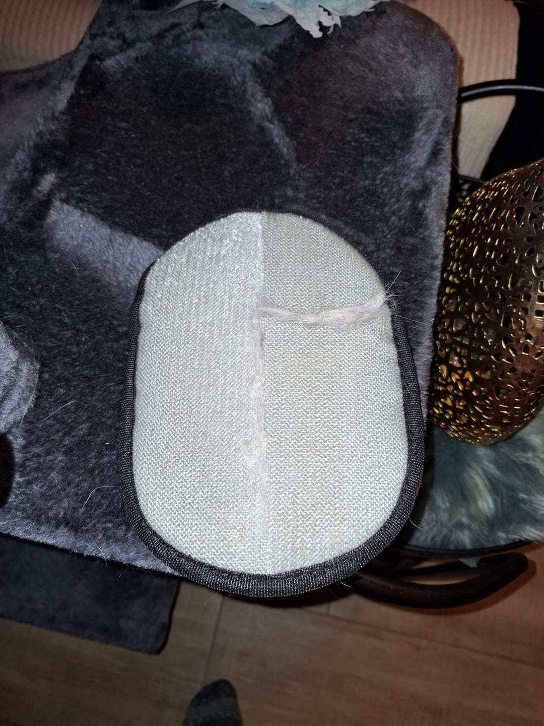 Customer photo review of Magic Fur Magnet